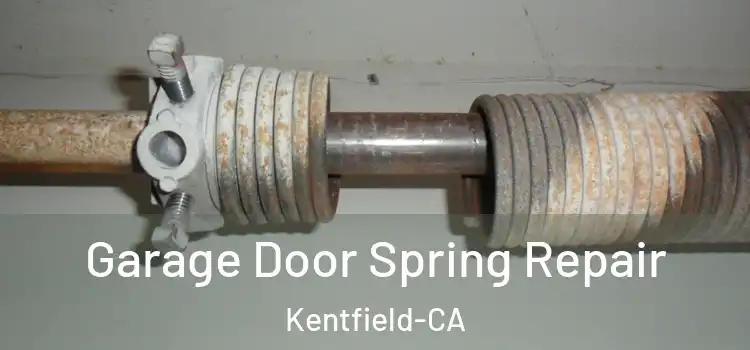  Garage Door Spring Repair Kentfield-CA